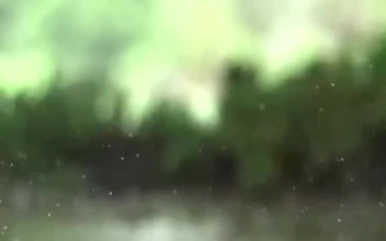 iPhone  Android Rain Nature Slow Motion Phone