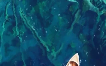 iPhone  Android Lonely Boat Dragon Bones Free Phone