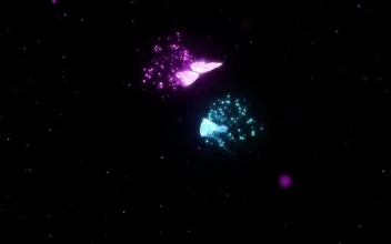 Cool Butterfly Dancing Animation Free Live Phone Wallpaper