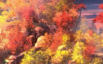 iPhone And Android Fall Forest Autumn Landscape Phone