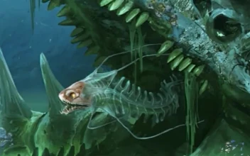 iPhone and Android Monster Bones Under The Sea Subnautica Fantasy Phone