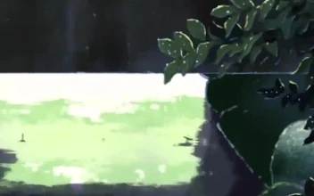 iPhone  Android Rain Bridge Pond Anime Phone