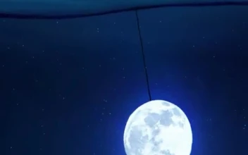 iPhone  Android Moon Fishing 4k Phone