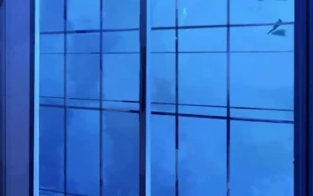 iPhone  Android Whales Swimming Outside The Window Phone