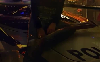iPhone And Android Cyberpunk Girl Sitting On Police Car Neon Lights Phone