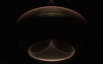 Resonance Gold Dark iPhone 12 Pro