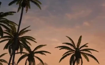 Live Evening Beach Wallpaper To iPhone And Android