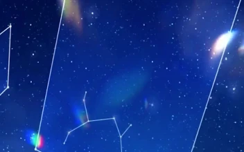 iPhone  Android Star Gaze Fantasy Phone