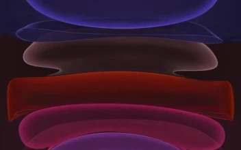 Jelly Purple Dark iPhone 11