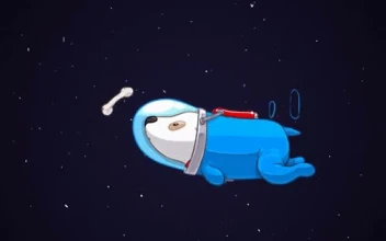 Dog Chasing Bone In Space To iPhone And Android Phones