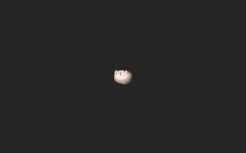 Nervous Dog Spinning Pixel