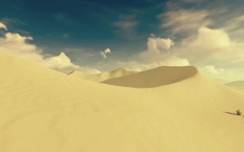 Desert 001 Lively Wallpaper