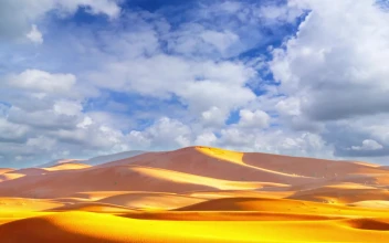 Desert 004 Lively Wallpaper