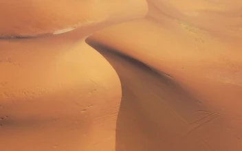 Desert 020 Lively Wallpaper