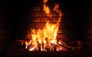 Fireplace 001 Lively Wallpaper