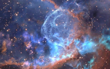 Nebula 027 Lively Wallpaper