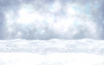 Snow 064 Lively Wallpaper