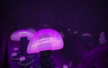 Subnautica Purple Cave Video Wallpaper