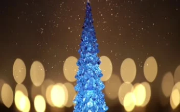 celebrating christmas hd