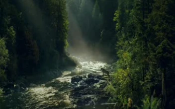 Farcry 5 Jacob Seed Region Hd Free