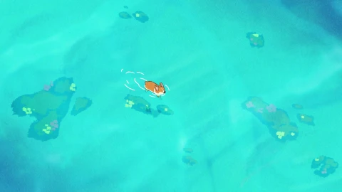 Cute Corgi Dogies Swimming Live Wallpaper - Free Live Wallpaper