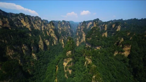 China Zhangjiajie Precipitous Pillars Live Wallpaper - Free Live Wallpaper