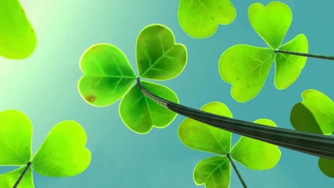 Under Swaying Leaves Live Wallpaper - Free Live Wallpaper