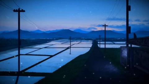 Rice Fields Live Wallpaper - Free Live Wallpaper
