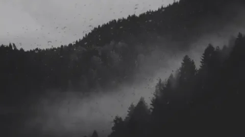 Misty Valley Live Wallpaper - Free Live Wallpaper