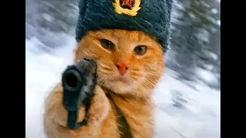 Comrade Cat Meme Live Wallpaper - Free Live Wallpaper