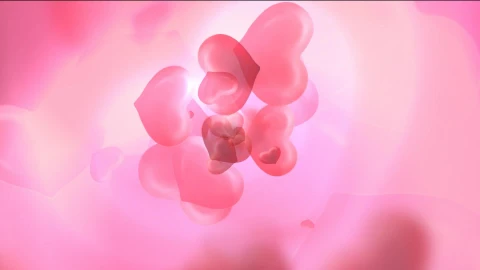 Valentines Day Animated Wallpaper - Free Live Wallpaper
