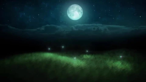 v640bg - Free Live Wallpaper