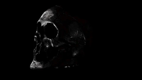 Somber macabre skull of terror Live Wallpaper 6 - Free Live Wallpaper