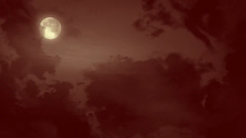 Wicked witch flying on a broomstick on full moon Wjrutn s 8 - Free Live Wallpaper