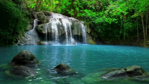 A cool waterfall HD Live Wallpaper - Free Live Wallpaper