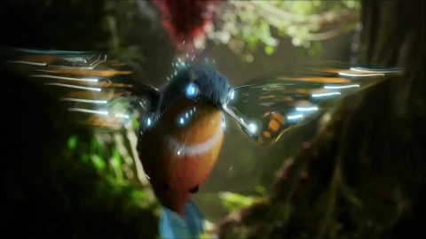 Hummingbird 1080p Live Wallpaper - Free Live Wallpaper