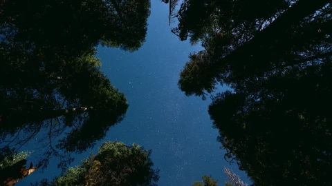Nature Time Scape Hd Live Wallpaper - Free Live Wallpaper