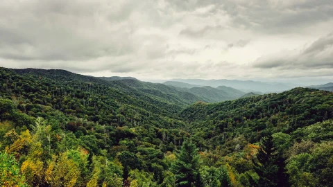 Great Smoky Mountains National Park HD Live Wallpaper - Free Live Wallpaper