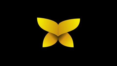 Abstract Butterfly HD LIve Wallpaper - Free Live Wallpaper