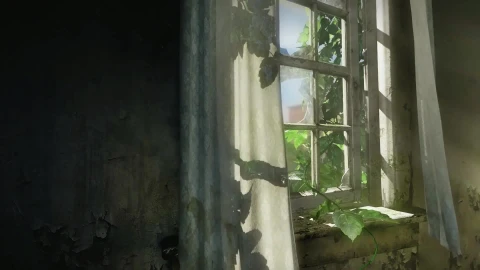 The Last of Us HDR 60fps fluid HD LIve Wallpaper - Free Live Wallpaper