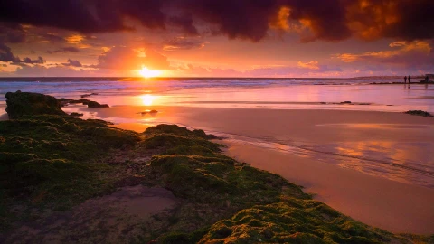 GoldenLight HD Live Wallpaper - Free Live Wallpaper