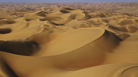 Liwa Sand Dunes Live Wallpaper - Free Live Wallpaper