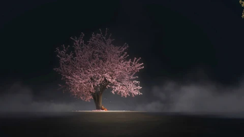 Sakura Tree Live Wallpaper 7 - Free Live Wallpaper