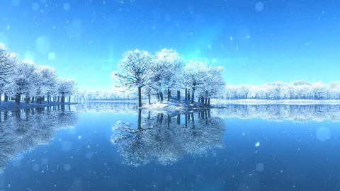 Winter Shine HD Video Live Wallpaper - Free Live Wallpaper