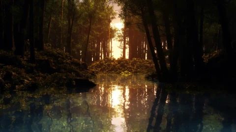 DesktopHut.com Forestlake Wallpaper Free - Free Live Wallpaper