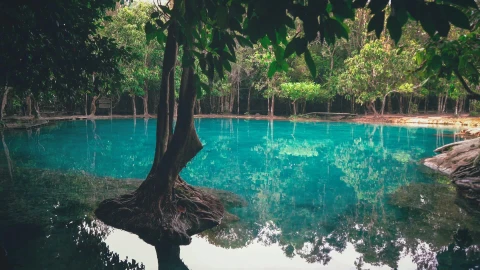 Emerald Pool Live Wallpaper HD - Free Live Wallpaper