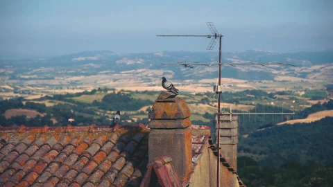 Pidgeons Overlooking Tuscany Live Wallpaper HD - Free Live Wallpaper