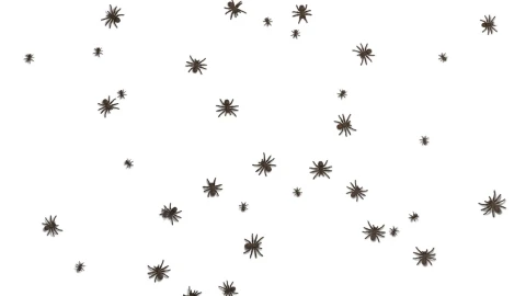 Tarantulas Swarm Screen HD Live Wallpaper Free - Free Live Wallpaper