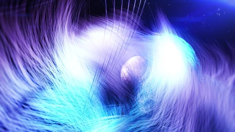 Fur Abstract HD Live Wallpaper Free - Free Live Wallpaper
