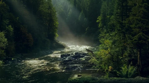 Farcry 5 Jacob Seed Hd Live Wallpaper Free - Free Live Wallpaper